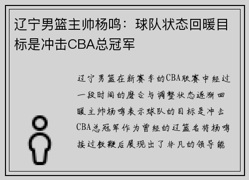 辽宁男篮主帅杨鸣：球队状态回暖目标是冲击CBA总冠军